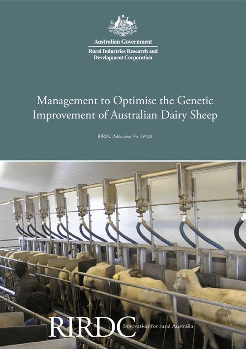 Management to Optimise the Genetic Improvement of Australian Dairy Sheep - image