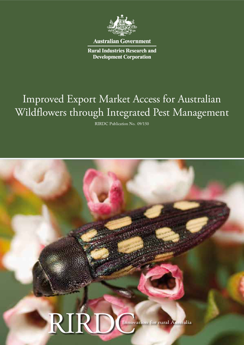 Improved Export Market Access for Australian Wildflowers through Integrated Pest Management - image
