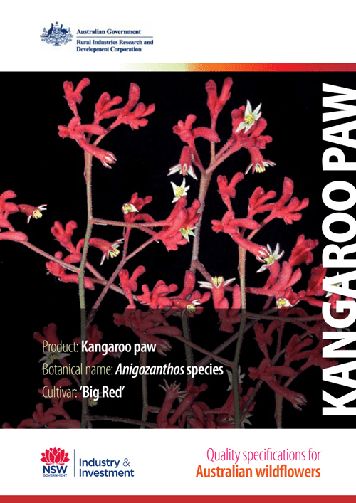 Quality Specifications for Kangaroo Paw - image