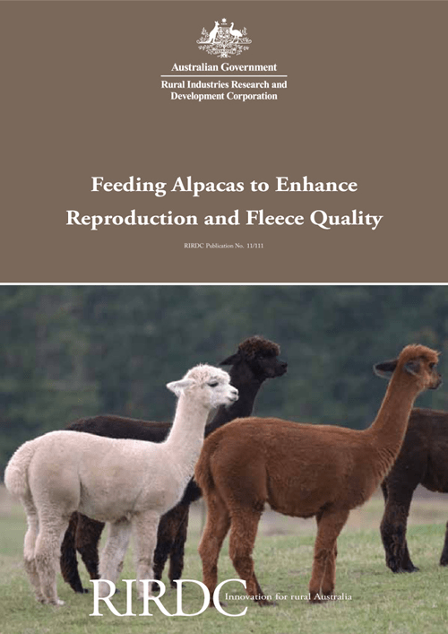 Feeding Alpacas to Enhance Reproduction and Fleece Quality - image