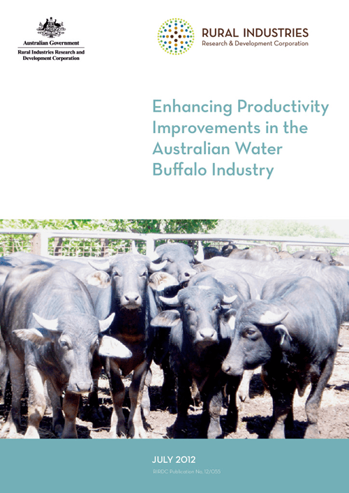 Enhancing Productivity Improvements in the Australian Water Buffalo Industry - image