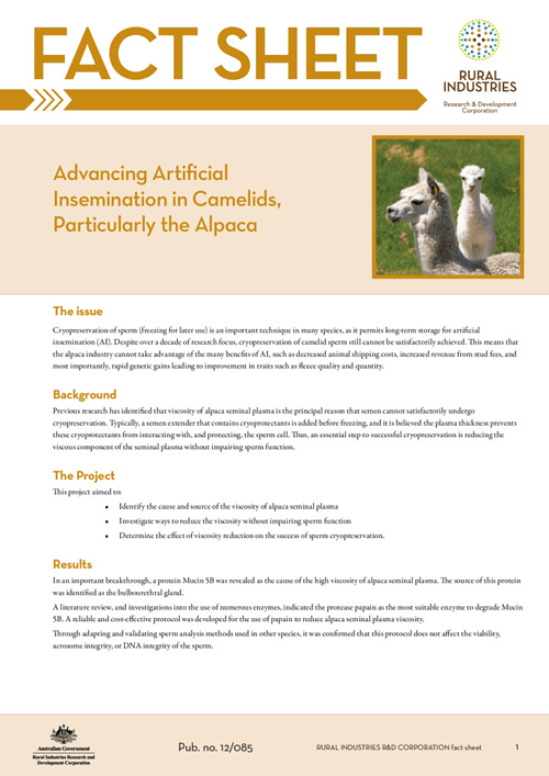 Advancing Artificial Insemination in Camelids, Particularly the Alpaca   - fact sheet - image