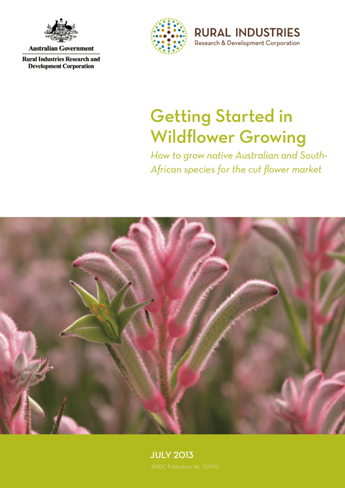 Getting Started in Wildflower Growing - How to grow native Australian and South African species for the cut flower market - image