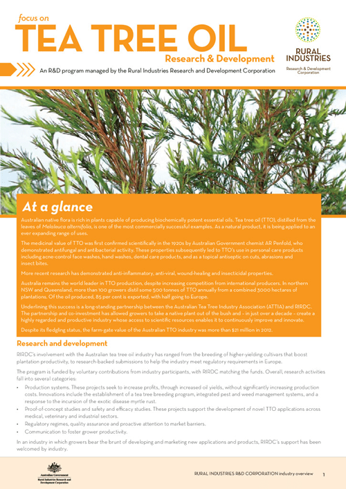 Focus on Tea Tree Oil Research and Development - image