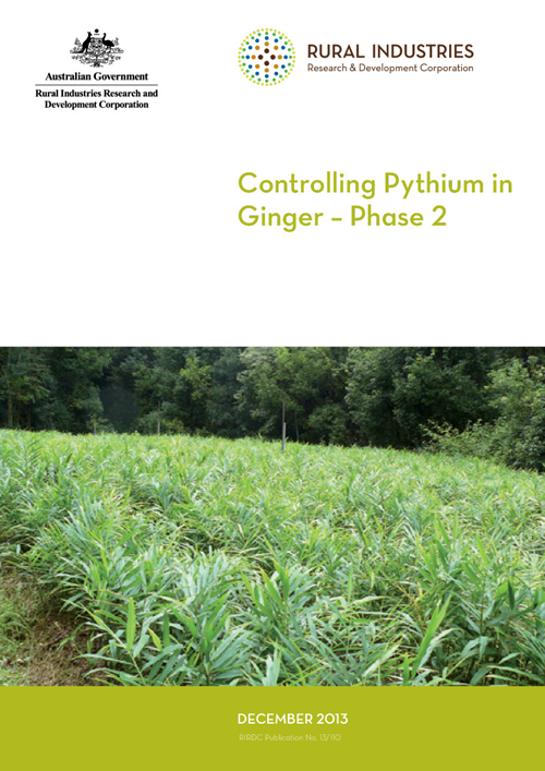 Controlling Pythium in Ginger – Phase 2 - image
