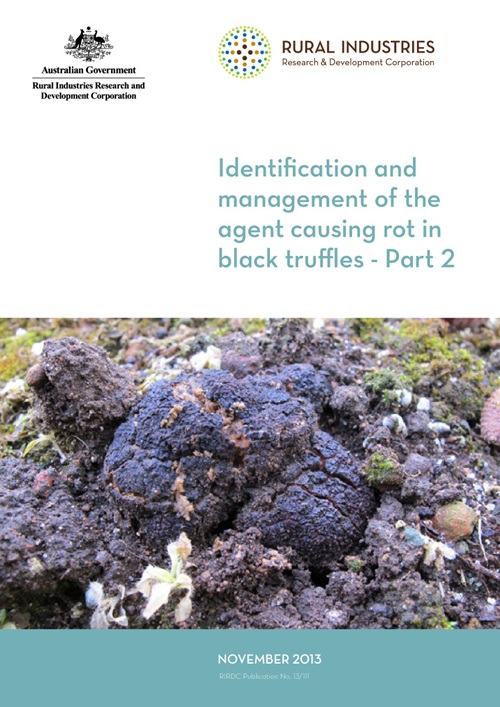 Identification and management of the agent causing rot in black truffles - Part 2 - image