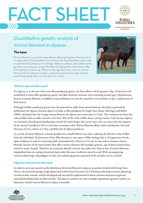 Quantitative genetic analysis of micron blowout in alpacas - fact sheet - image