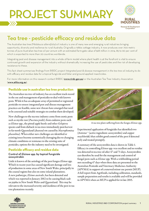 Tea tree - pesticide efficacy and residue data project summary - image