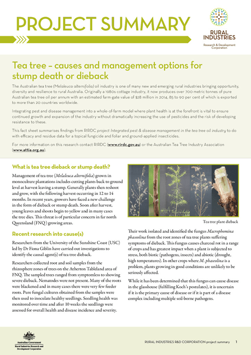 Tea tree – causes and management options for stump death or dieback project summary - image