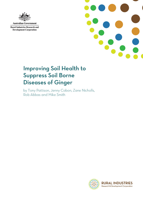 Improving Soil Health to Suppress Soil borne Diseases of Ginger - image