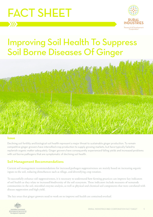 Fact Sheet: Improving Soil Health To Suppress Soil Borne Diseases Of Ginger - image